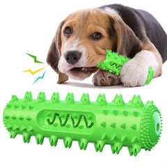 Dog Chew Toys